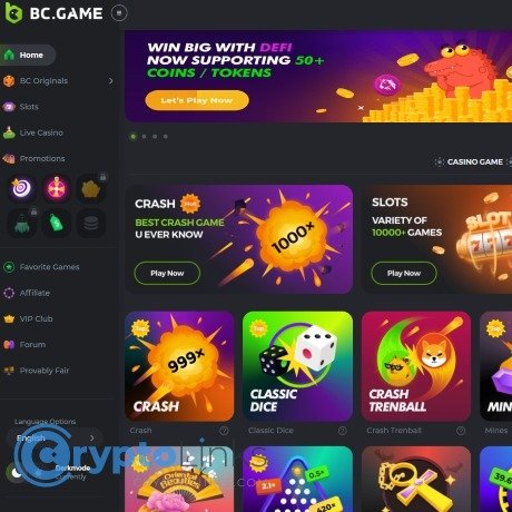 BC.Game Mexico Login Your Gateway to Exciting Online Gaming -592676683 BC.Game Mexico Login Your Gateway to Exciting Online Gaming -592676683