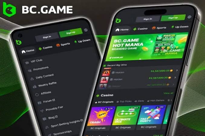 Discover the Exciting World of BC.Game Mexico Online Platform